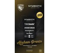 T.H.Seeds™ Graines De Cannabis X Symbiotics Afgan Grease, Féminisées 2 Pièces