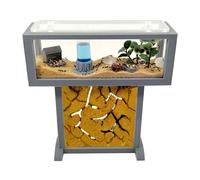 T- Mini kit de fourmis de sable naturel 38,1 x 12,7 x 40,6 cm - Fourmis incluses 20-30 fourmis