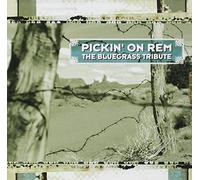 T - Pickin' on Rem