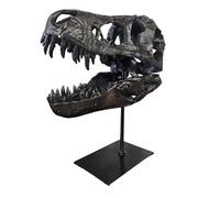 T-Rex Crâne XXL sur Support en Métal - Réplique - Tyrannosaurus Rex - Dinosaure - Fossile - Décoration Luxe - 30x25 cm