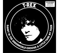 T.Rex – Dandy in the Underworld + Celebrate Summer – Vinyle 2x10" – Demon