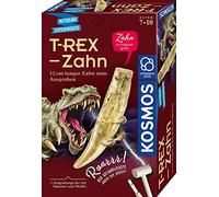 Kosmos T-Rex - Zahn : expérimentation