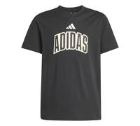 Adidas Stadium Lettering Short Sleeve T-shirt Noir 11-12 Years Enfants