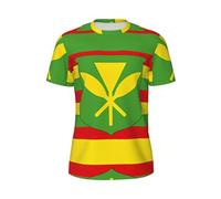 T-shirt à manches courtes en maille pour homme avec imprimé drapeau hawaïen - T-shirts d'entraînement athlétiques respirants à col rond, pour salle de sport en plein air, noir, Taille 4XL