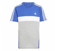 adidas Mixte Enfant Tiberio 3-Stripes Colorblock Cotton Tee Kids, Semi Lucid Blue/Medium Grey Heather/White, 15-16 Years