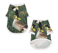 T-shirt à manches courtes pour petits chiens portant des fleurs