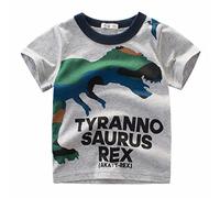 T-shirt à manches longues noir à 17 manches pour bébé - T-shirt court pour enfant - T-shirt à col rond - Dinosaure pour tout-petit - Hauts pour garçon, gris, 1-2 ans