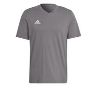 T-shirt adidas Entrada 22 Gris XS