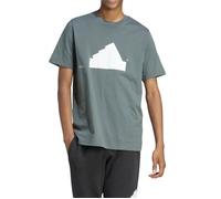 T-shirt - ADIDAS - Future Icons - Badge of Sport - Gris - Manches courtes - Col classique