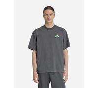 ADIDAS PERFORMANCE T-Shirt fonctionnel 'Mercedes - AMG Petronas Formula One Team' graphite / vert fluo, Taille L