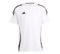 Adidas Tiro24 Sweat Short Sleeve T-shirt Blanc XL / Regular Homme
