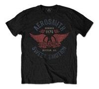 T-shirt aerosmith boston pride unisexe jean taille m Bleu G