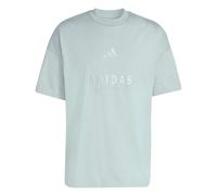 adidas Herren All SZN Embroidered Graphics T-Shirt, Wonder Sage, XL