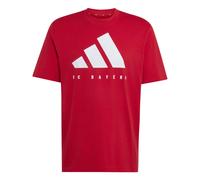 Adidas Fc Bayern Munich Dna Graphic Short Sleeve T-shirt Rouge XL Homme
