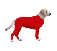 T-shirt - body - top,Combinaison pour chiens doux,Protection postopératoire,body à manches longues,récupération- Type SCARLET - L -B