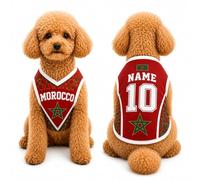 T Shirt Chien Personnalisé Style 2026, Maillot Drapeau Pays avec Nom Numéro, Tissu Mesh Léger Respirant pour Petit Moyen Grand Chien, Cadeau Fan Foot