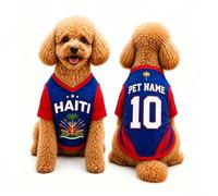 T Shirt Chien Personnalisé Style 2026, Maillot Drapeau Pays avec Nom Numéro, Tissu Mesh Léger Respirant pour Petit Moyen Grand Chien, Cadeau Fan Foot