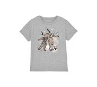 T-shirt coton la reine des neiges snow bros gris chiné 5/6A