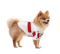 T-shirt d'été décontracté pour petits chiens et chats Motif drapeau de l'Irlande du Nord