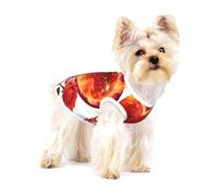 T-shirt d'été doux pour petits chiens et chats - Motif cœur brûlant avec roses et nœud