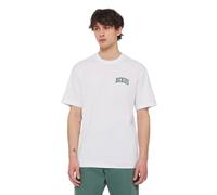 T-shirt Dickies Aitkin Blanc XL