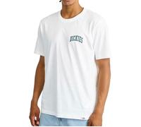 T-shirt Dickies Aitkin Chest S