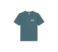 T-shirt Dickies Aitkin Chest Vert XL