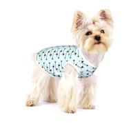 T-shirt en coton respirant pour petit animal de compagnie Motif teckel parisien