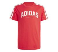 adidas Unisex Kinder Codes Collegiate Graphic T-Shirt, Pure Ruby, 7-8 Years