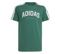 T-shirt enfant adidas Codes Collegiate Graphic Vert 9/10 ans