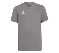 T-shirt enfant adidas Entrada 22 Gris 9/10 ans Unisex
