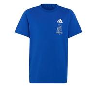 ADIDAS SPORTSWEAR T-Shirt fonctionnel 'Adidas x Minecraft' bleu roi / gris / blanc, Taille 176
