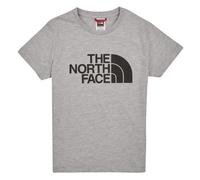 T-shirt enfant garcons The North Face BOYS S/S EASY TEE Gris 8 ans