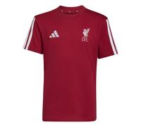 T-shirt enfant Liverpool FC Rouge 11/12 ans Unisex