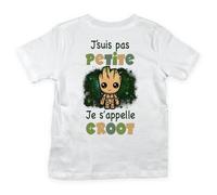 T-shirt Enfant - Marvel - Je ne suis pas Petite Je m'appelle Groot - Blanc - Manches courtes - Coton 2 ans