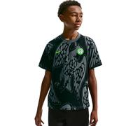 Nigeria Nike IQ2199-068 T-Shirt de Football (Enfant Plus âgé), Iron Grey, M
