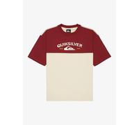 Vêtements Quiksilver Knowledge Aera Ss Tee Youth pour Enfant 14A Beige