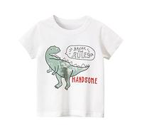 T Shirt Enfants Garçons 2026 Tee Tops Dinosaure De Bande Dessinée pour 17 Garçons Courts Bébé Chemises Enfant Uni Été Blanc Maillot De Sport