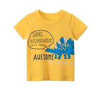 T Shirt Enfants Garçons 2026 Tee Tops Dinosaure De Bande Dessinée pour 17 Garçons Courts Bébé Chemises Enfant Uni Été Blanc Maillot De Sport