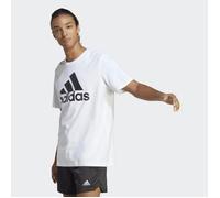 Adidas Bl Sj Short Sleeve T-shirt Blanc S / Regular Homme