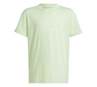 T-shirt fille adidas Future Icons Winners Vert 11/12 ans