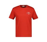 T-shirt Gant Graphic Marron 5XL