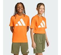 T-SHIRT GRAND LOGO TRAIN ESSENTIALS Pure Orange / White 9-10A