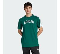 Vêtements adidas sportswear M C COLLEG TEE pour Homme L Vert