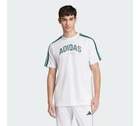 T-shirt adidas Codes Collegiate Linear Graphic manches courtes blanc vert - M