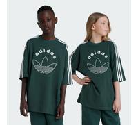 ADIDAS ORIGINALS T-Shirt 'Graphic Tee' sapin / blanc, Taille 164