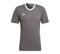 T-shirt Homme ADIDAS Entrada 22 Gris - Coupe Classique S