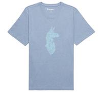 T-shirt homme Cotopaxi Into the Pines T-Shirt Taille: M / Couleur: bleu / gris