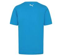 T-Shirt Homme Williams Racing Fw, Logo Bleu Clair