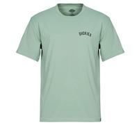 DICKIES SNAKE SS TEE men Shortsleeves green en taille: L